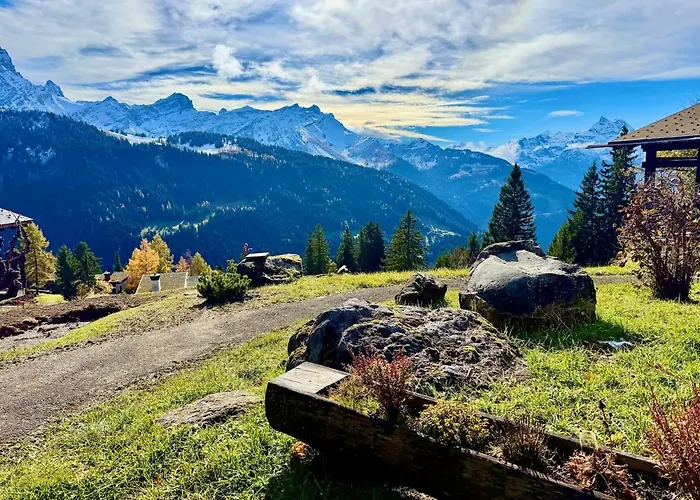 Chalet 94 Charming 10 Pax Gryon