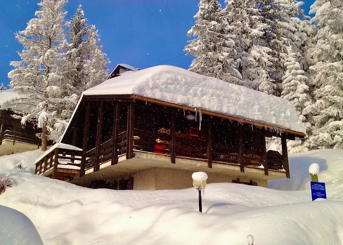 94 Charming 10 Pax * Gryon